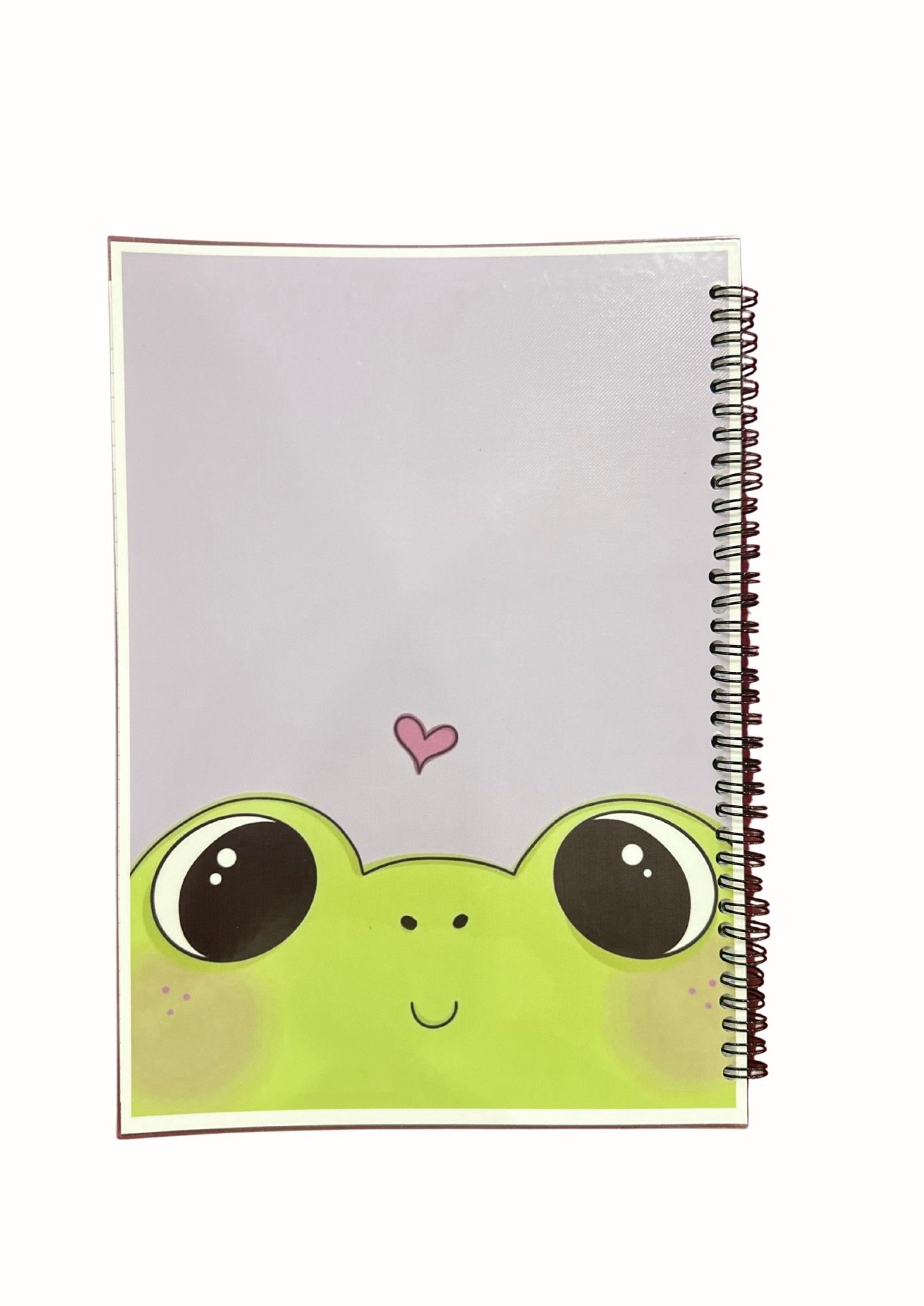 دفتر الضفدع